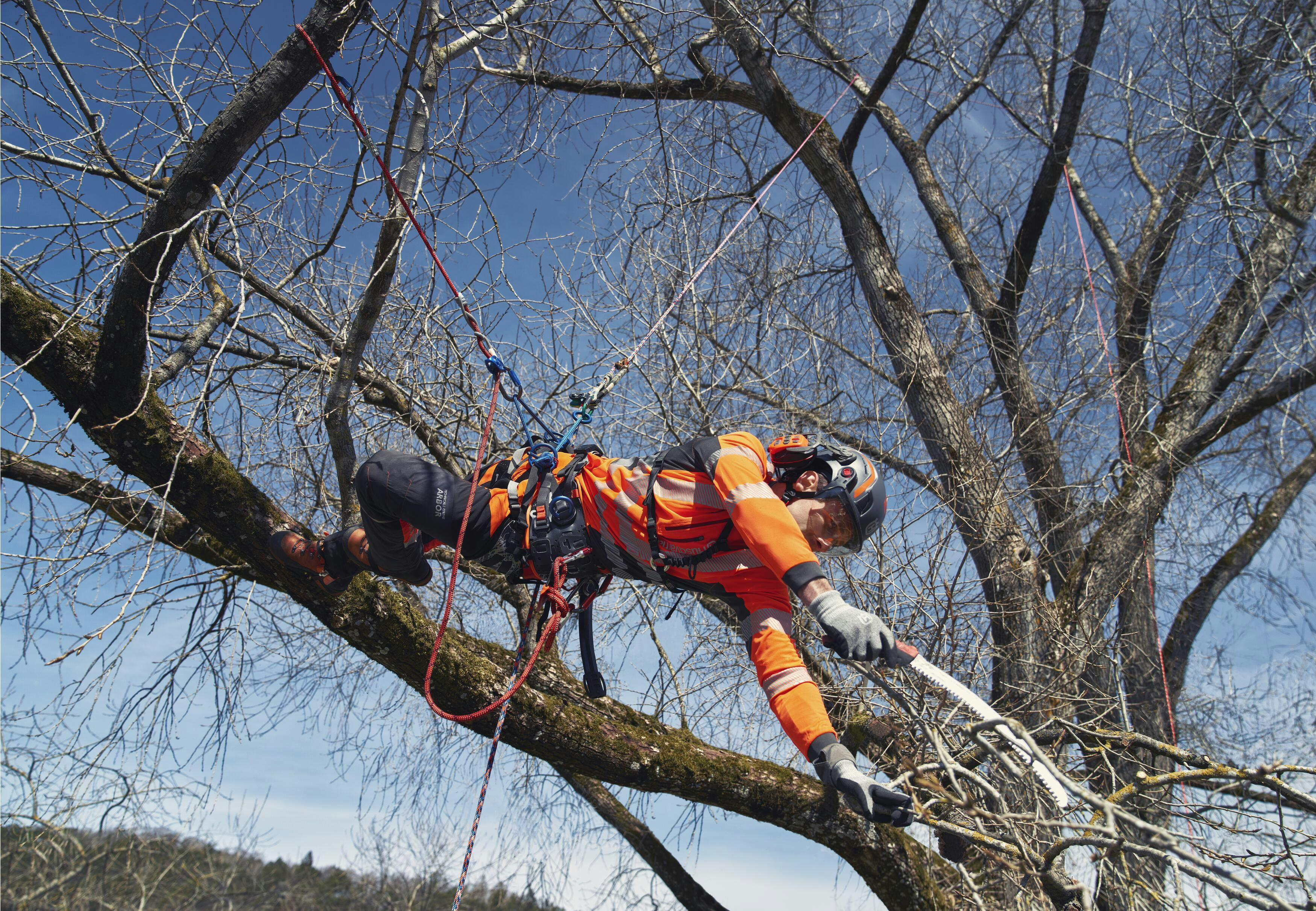 Climbing Harness image 8