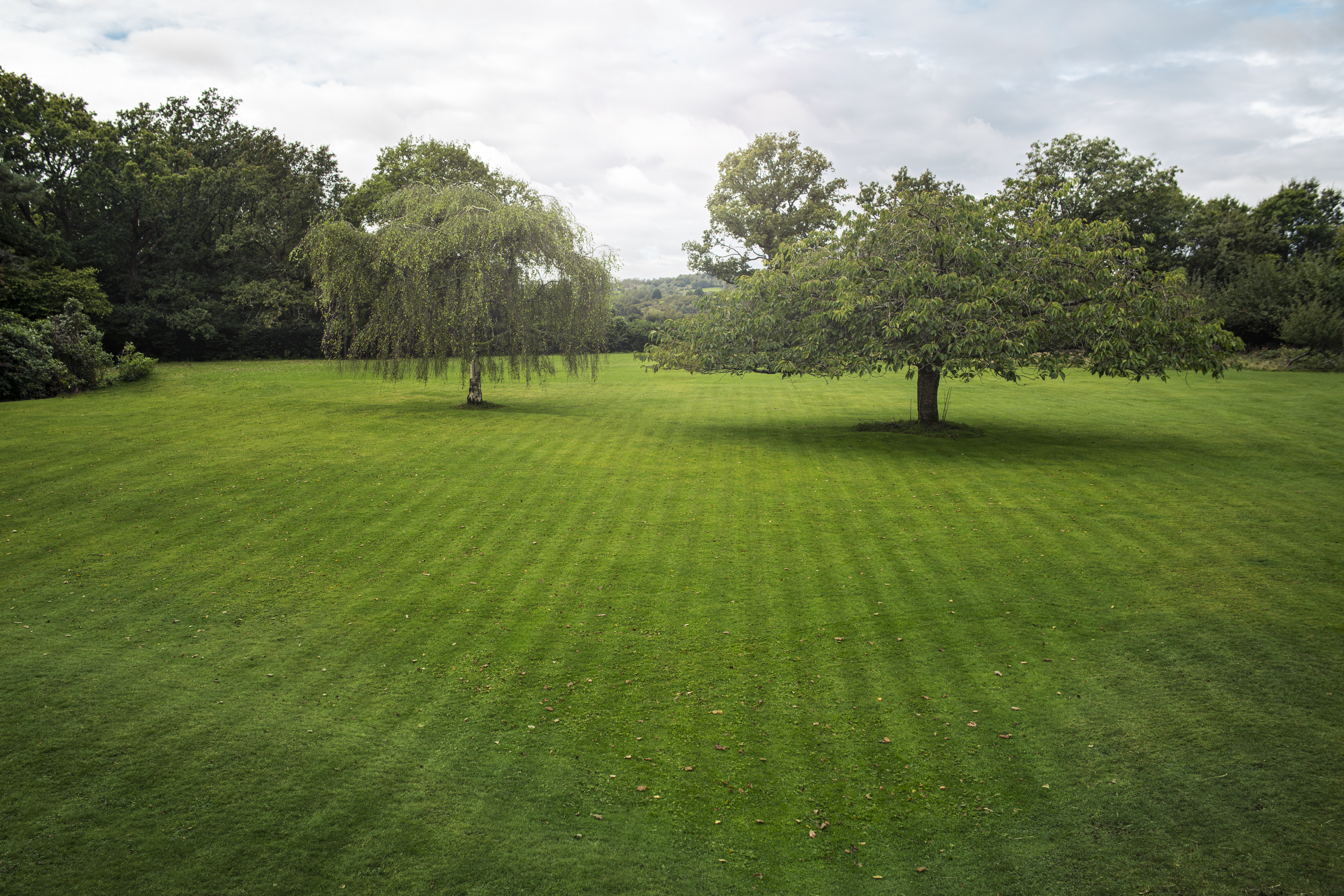 Choose stripes, checkerboard or a triangle pattern on your lawn with systematic mowing. This feature enables the mower to run in parallel lines to create a visual pattern. Or for a carpet-like finish, there is also the option of irregular mowing. image